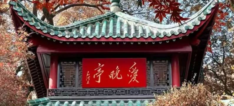 兰泊酒店(长沙高铁南站雨花区政府地铁店)图片