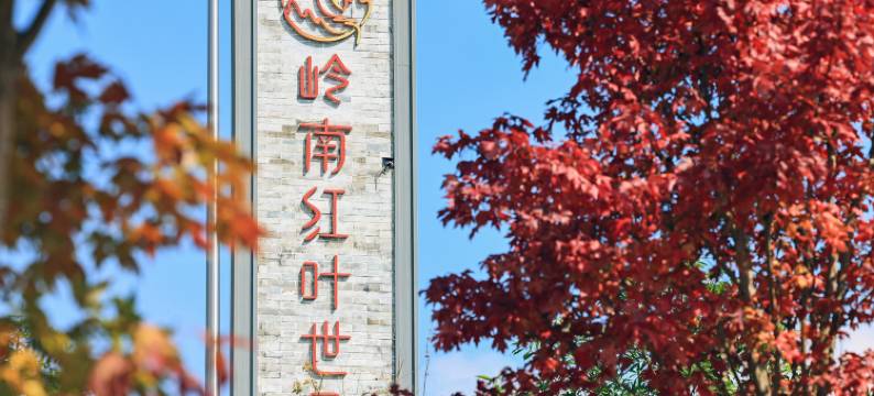新丰岭南红叶世界图片