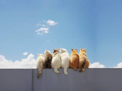 莫干山隐花坞·温泉度假民宿图片