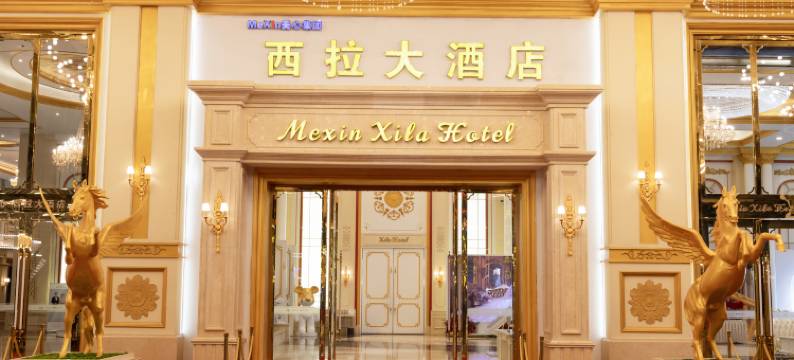 西拉大酒店(重庆弹子石店)图片