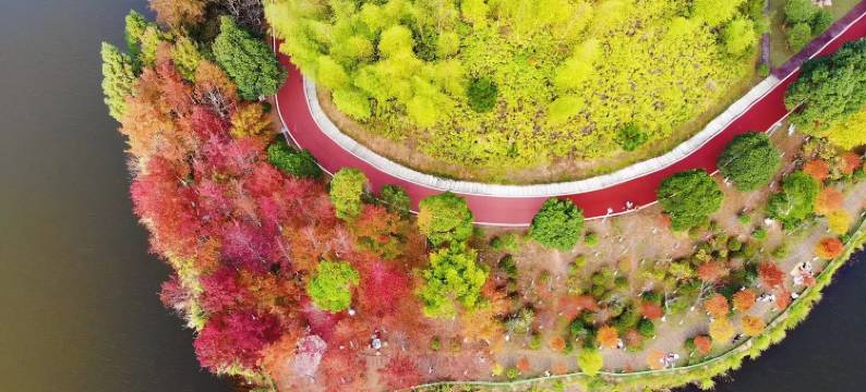 古田山庄(福建古田党员干部教育基地店)图片