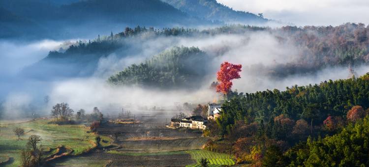 艺龙安云野奢度假酒店(宏村景区店)图片