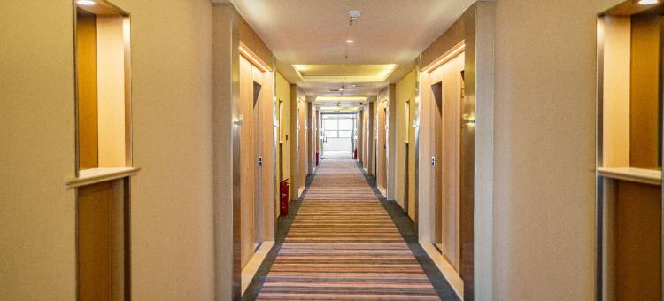 美庭酒店(临河区巴彦淖尔市政府店)图片