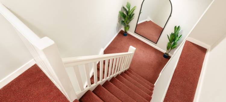 OYO Citysteps Hotel图片