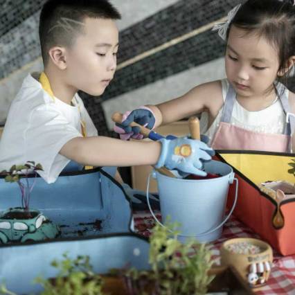 成都华尔道夫酒店图片