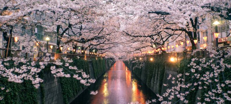 东京威斯汀酒店(The Westin Tokyo)图片