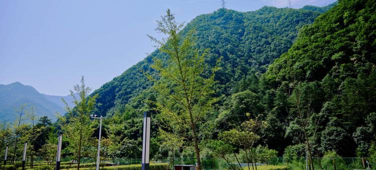 留坝露野房车露营地图片