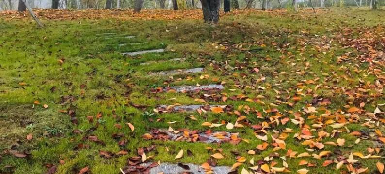 凤栖湖饮溪云酒店图片