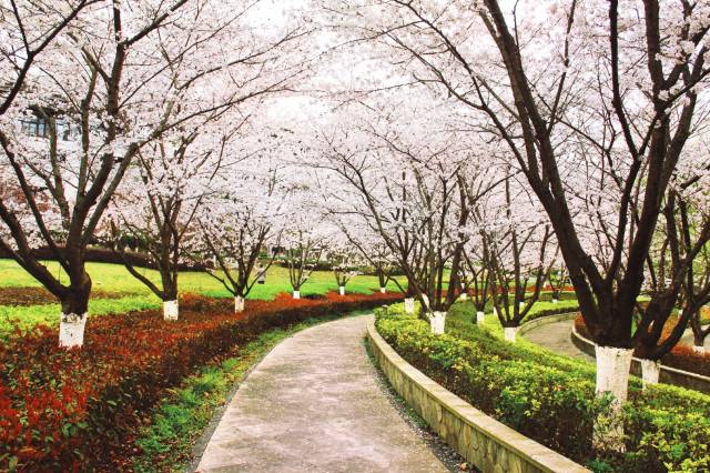 北斗湾·贵州饭店图片