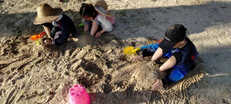 海南百莱玛民宿(文昌东郊椰林店)图片