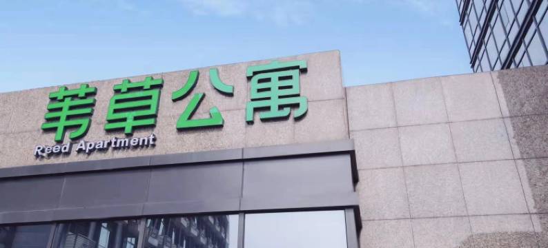 杭州苇草公寓图片