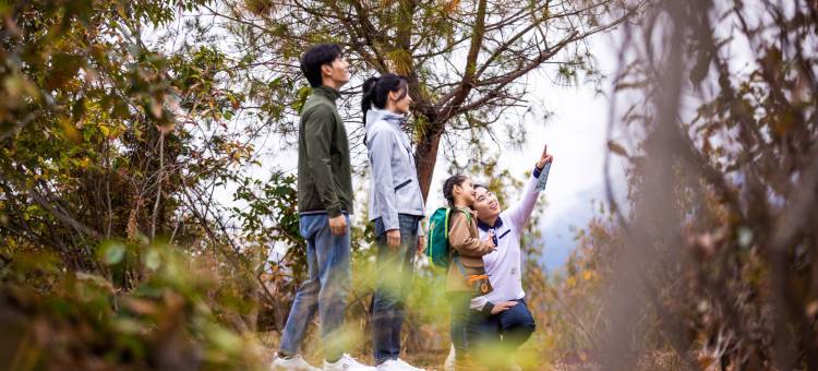 Club Med地中海邻境 千岛湖度假村图片