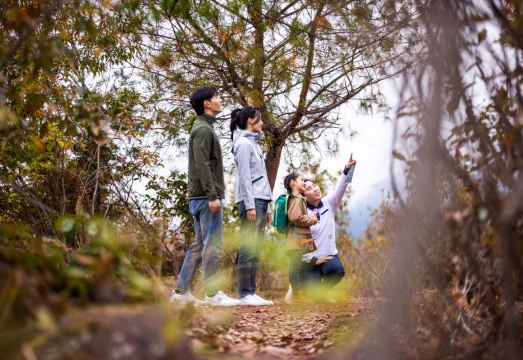 Club Med Joyview Thousand Island Hotel Overview