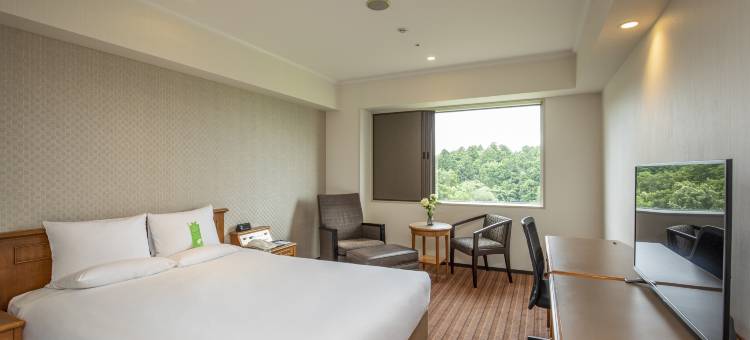 成田国际花园酒店(International Garden Hotel Narita)图片