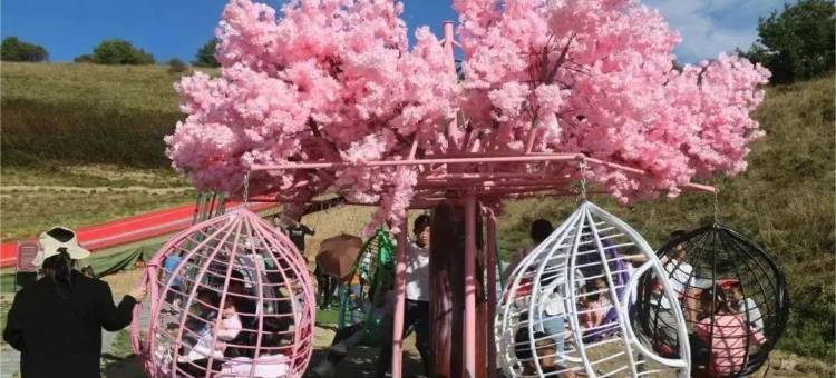 巴山云顶帐篷酒店图片