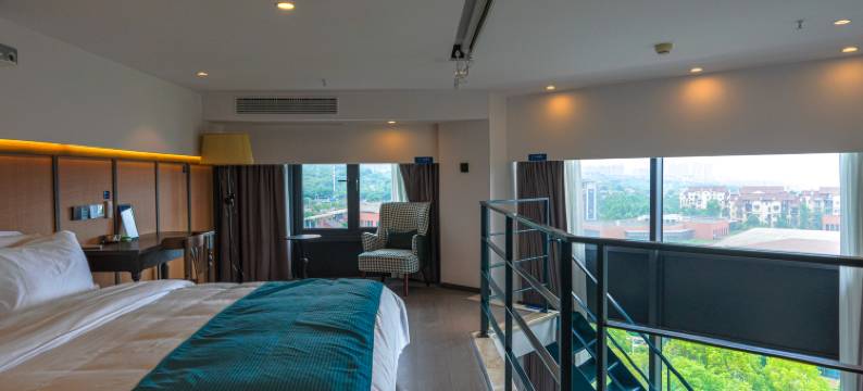 SHiN昕悦臻选酒店(重庆大竹林店)图片