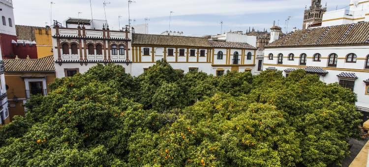 埃尔维拉广场精品酒店(Hotel Boutique Elvira Plaza)图片