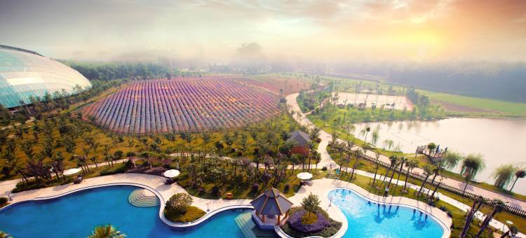 洪湖悦兮半岛国际温泉度假村图片