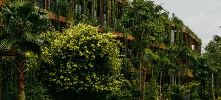 TUI BLUE 吴哥格雷斯健康度假村(TUI BLUE Angkor Grace Wellness Resort)图片