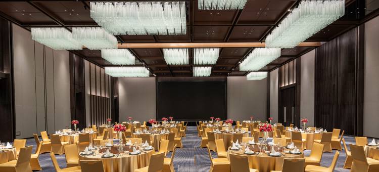 江门保利皇冠假日酒店(园山湖店)图片