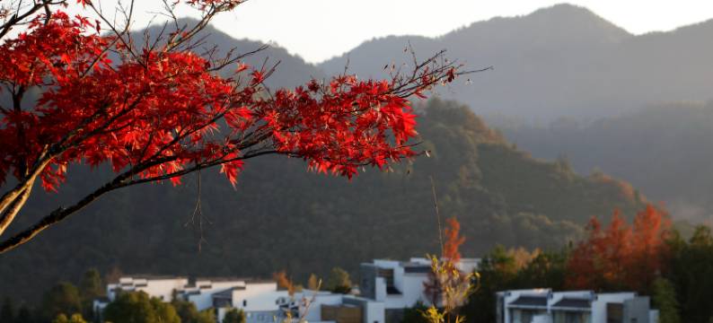 黄山德懋堂度假村图片