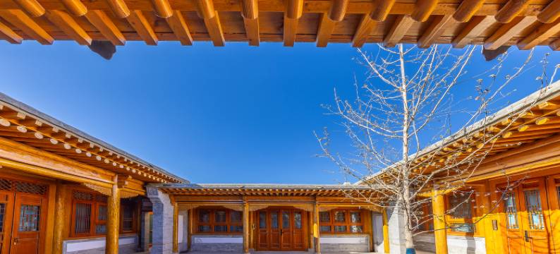 九间堂·隐宿(文化广场罗什寺店)图片