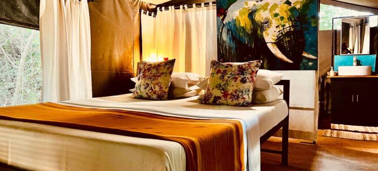 玛霍拉 - 韦帕图生态团队(Mahoora - Wilpattu by Eco Team)图片