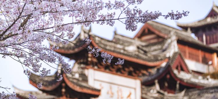 南京博物院桔子水晶酒店图片