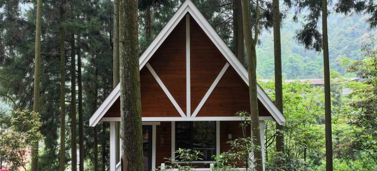 源山雅院·森林静逸民宿(雅安上里店)图片