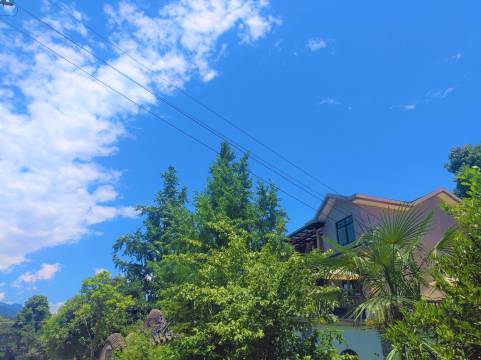 喜屋·国风美倦设计师温泉独栋别墅(都江堰中华大熊猫苑店)图片