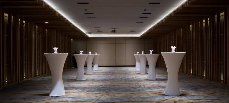 穗和瑞斯丽酒店(白云国际机场人和地铁站店)图片