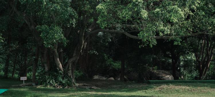 汕头妈屿湾亦安民宿图片