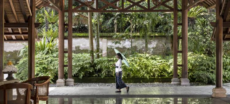 安缦黛宁(Amandari)图片