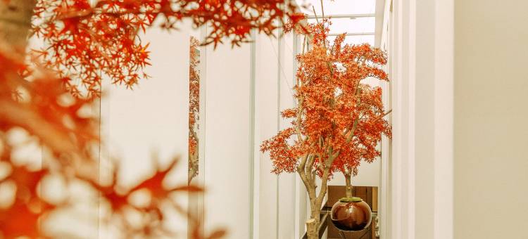 象之屋THE GRAND HOUSE(CBD国际会展中心店)图片