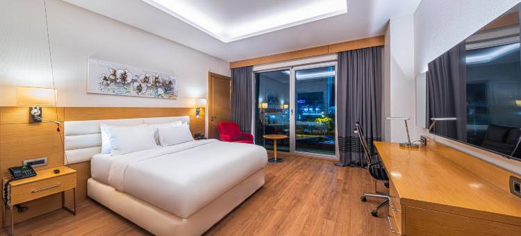 安卡拉库库姆巴尔假日酒店(Holiday Inn Ankara - Cukurambar)图片