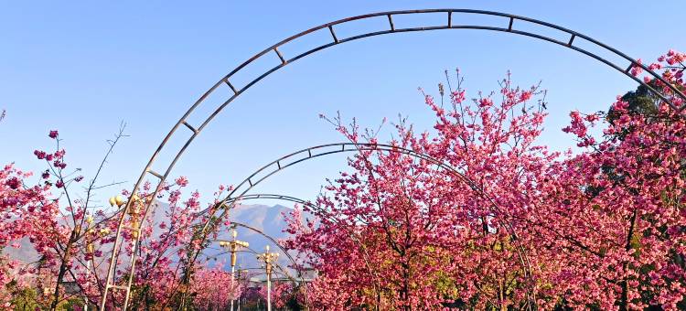 会理在水宜芳酒店图片