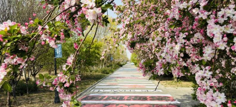 天津滨海一号酒店图片