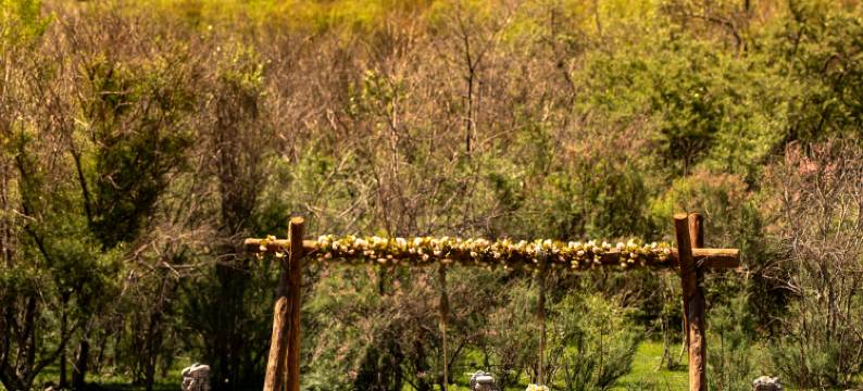 布谷秘境·Fairyland Sky Ranch｜山景童话民宿(那拉提景区店)图片