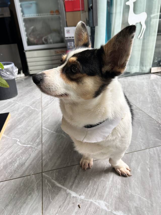 希岸隐宿智能酒店(临沧市一中店)图片