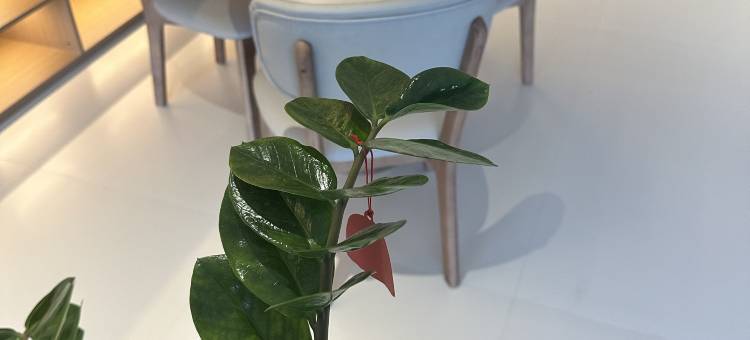 善悦酒店(蓬莱阁景区海洋极地世界店)图片