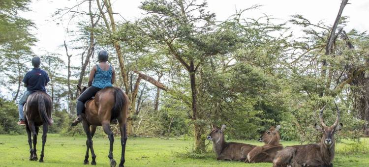Lake Naivasha Sopa度假村(Lake Naivasha Sopa Resort)图片