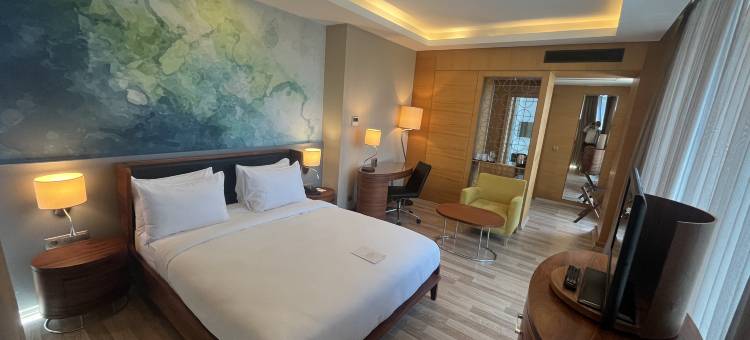 土耳其伊斯坦布尔美居酒店(Mercure Istanbul Umraniye)图片