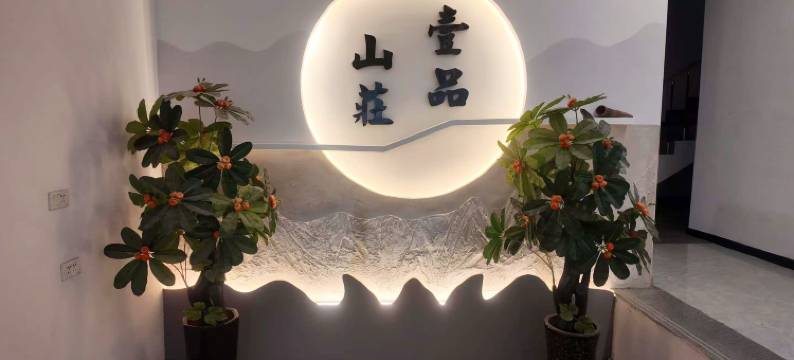 壹品·Lovers山景休闲度假Villa民宿(老君山景区店)图片
