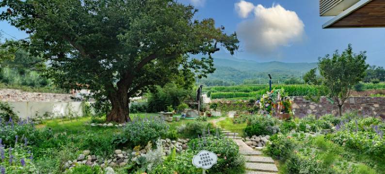 林州云岚民宿图片