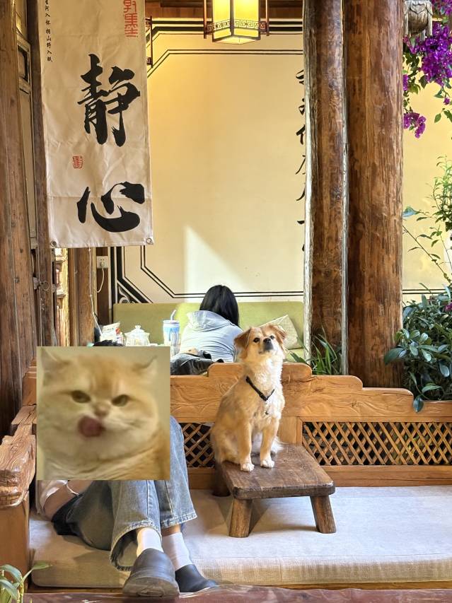 丽江紫藤缘客栈(丽江古城店)图片