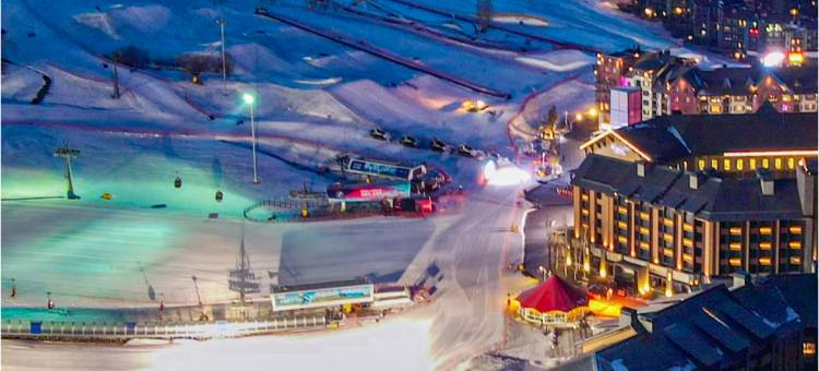 喜乐·拾个院子公寓别墅(万科松花湖度假区店)图片