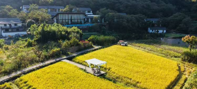 沐格山居(绍兴覆卮山店)图片