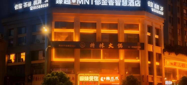 臻越●MNT郁金香智慧酒店(丰都鬼城店)图片