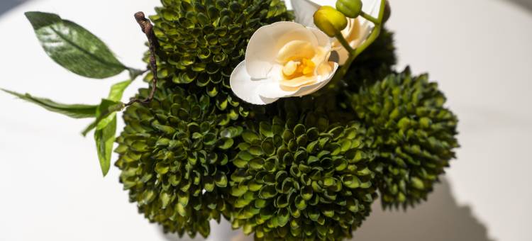 如家派柏·云酒店(泉州东海泰禾店)图片