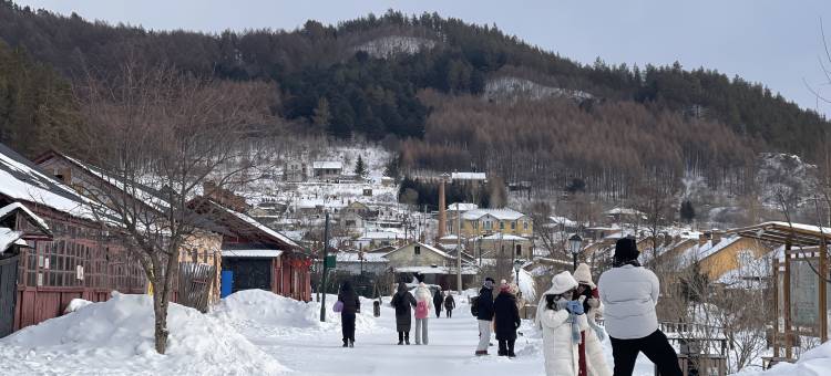 横道明九民宿(中东铁路博物馆店)图片